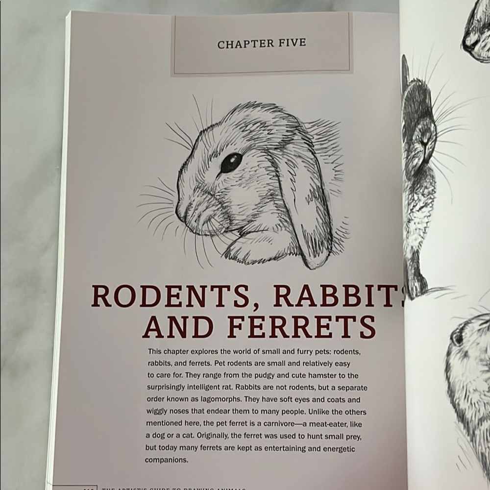 The Artist's Guide to Drawing Animals by J. C. Amberlyn - Picture 16 of 16